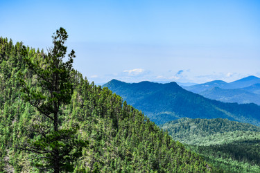 Similar image 22054642