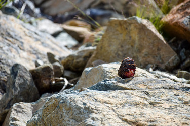 Similar image 22054643