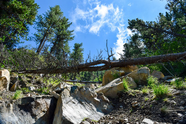 Similar image 22054651