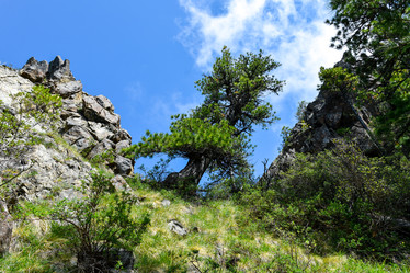 Similar image 22054655