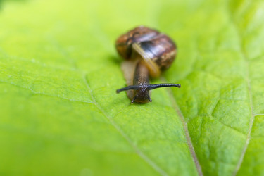 Similar image 22054659