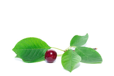 Similar image 22054663