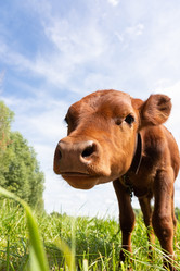 Similar image 22054664