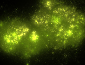 Similar image 22056742