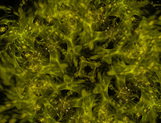 Similar image 22056752