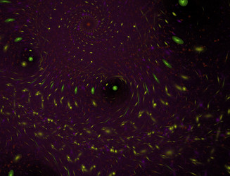 Similar image 22056307