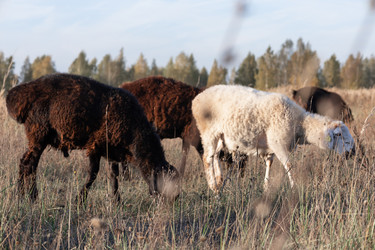 Similar image 22056064