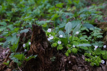 Similar image 22054406