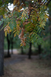 Similar image 22057197