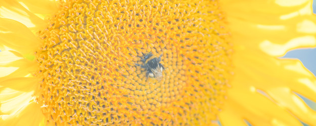 Similar image 22054683