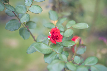 Similar image 22054684