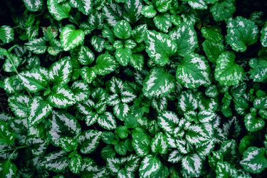 Similar image 22054686