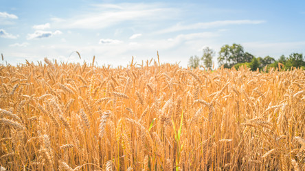 Similar image 22054690