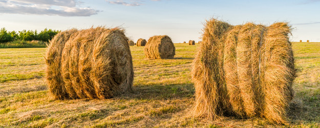 Similar image 22054691