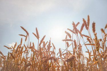 Similar image 22054694