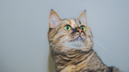 Similar image 22054695