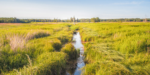 Similar image 22054696