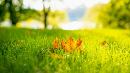 Similar image 22054700