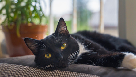 Similar image 22054703