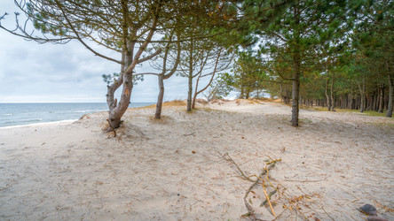 Similar image 22054705