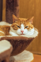 Similar image 22054706