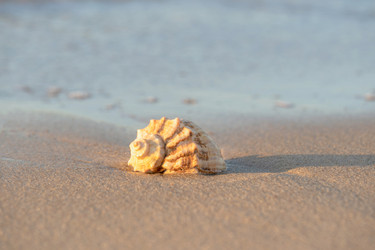 Similar image 22054707