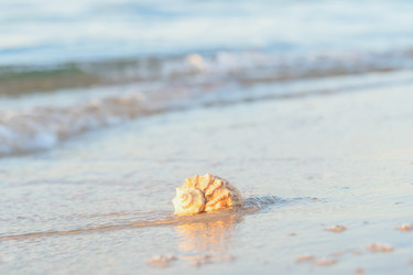 Similar image 22054708