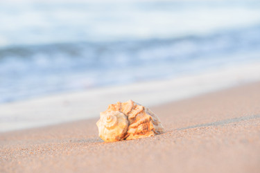 Similar image 22054710