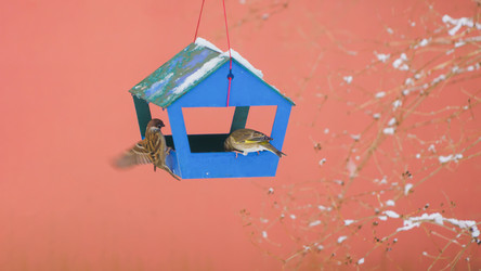 Similar image 22054711