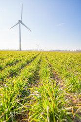 Similar image 22054723