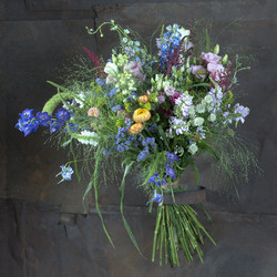 Similar image 22055131