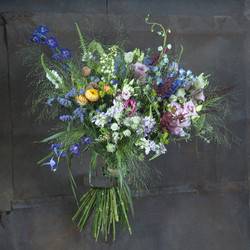 Similar image 22055135