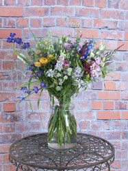 Similar image 22055139