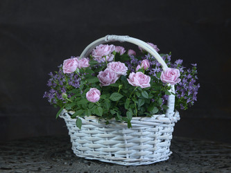 Similar image 22055147