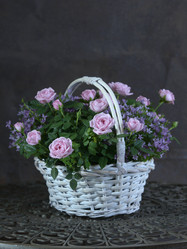 Similar image 22055148