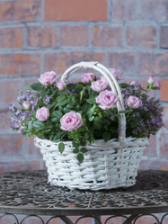 Similar image 22055151