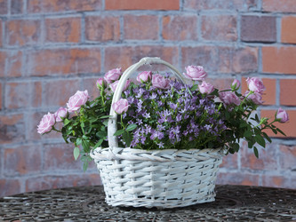 Similar image 22055152