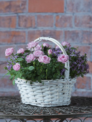 Similar image 22055153