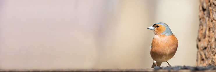 Similar image 22058098