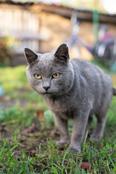 Similar image 22058101