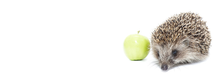 Similar image 22058120