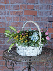 Similar image 22055175