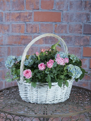 Similar image 22055176