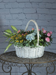 Similar image 22055177