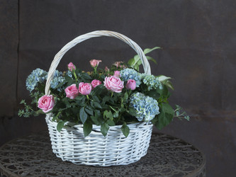 Similar image 22055179