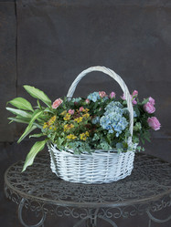 Similar image 22055181