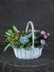 Similar image 22055182