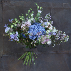 Similar image 22055213