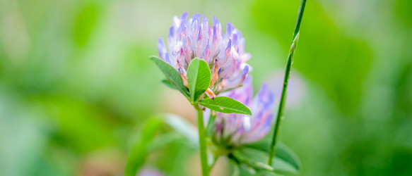 Similar image 22055556