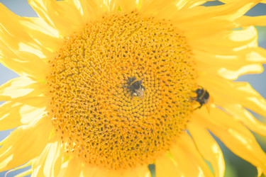 Similar image 22055557